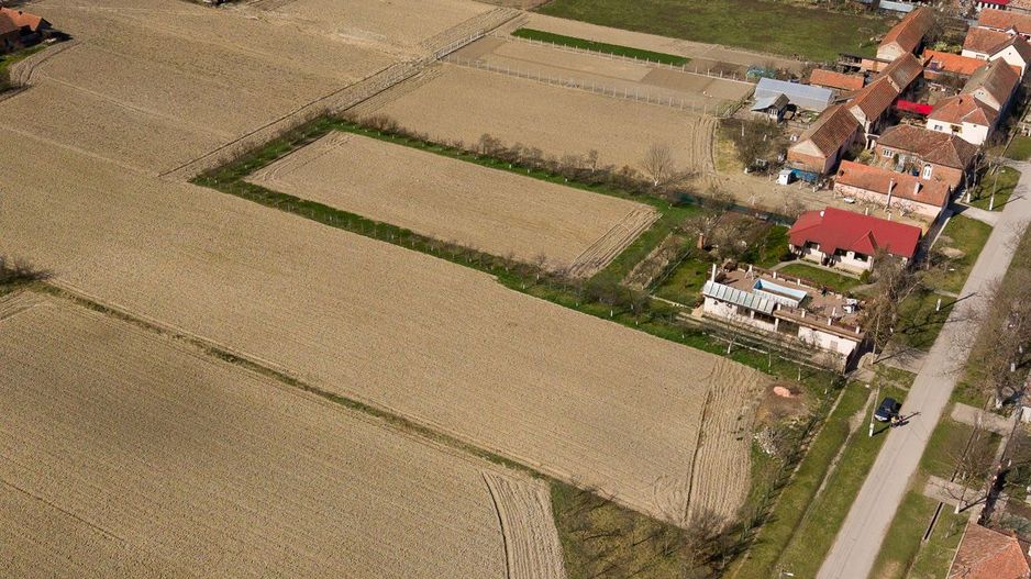 Loc de casă în Odvoș - Conop 3000mp - Poză 28