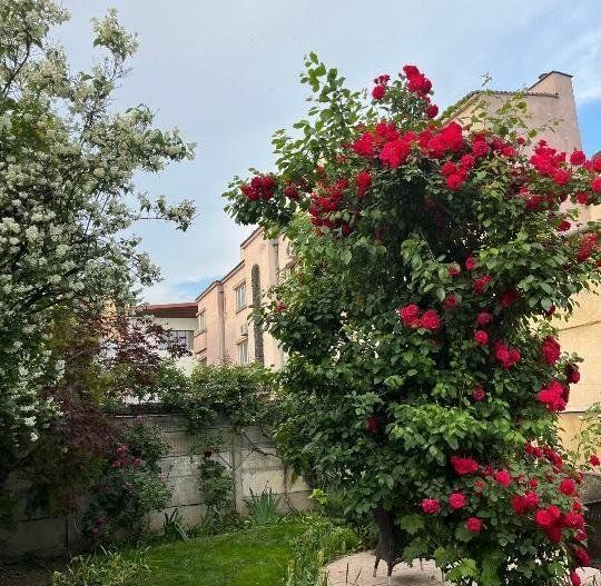 Casa/Vila Marriott/Parlament - Poză 2