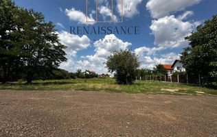 Dumbravita Teren Intravilan 1466mp Front 29m | Langa Padure