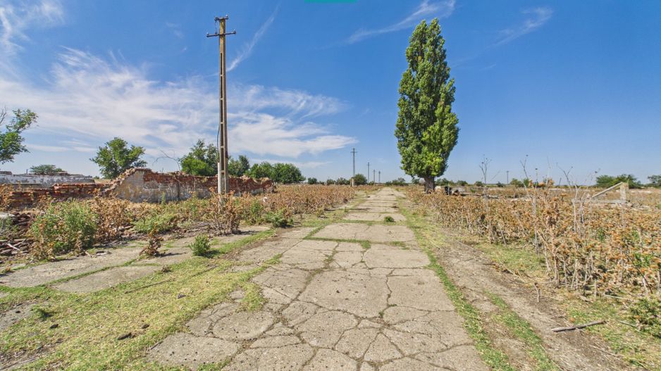 Teren intravilan 146.866 mp de vânzare | Jimbolia - Poză 14