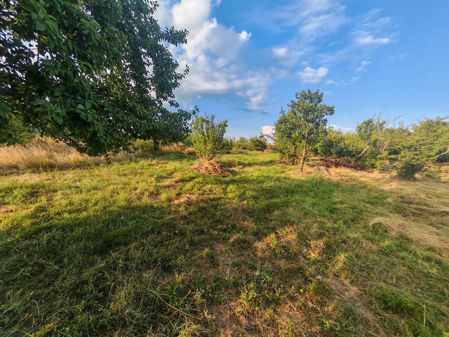 Teren intravilan 1.600 mp Mioveni – Zona Pruni - Poză 6