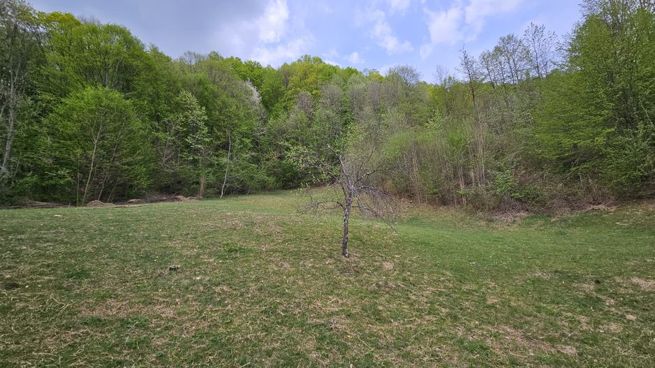 Teren intravilan 1454 mp la marginea padurii zona locuita de case! - Poză 11