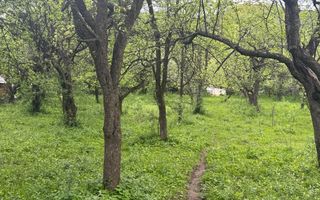 TEREN INTRAVILAN 7018 MP CAMPULUNG - Poză 32