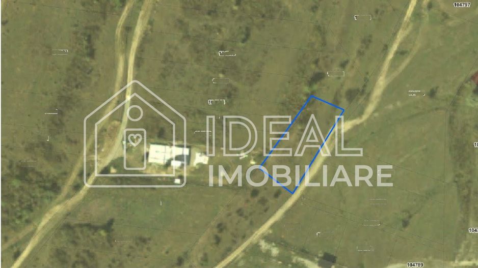 Teren extravilan de vânzare – Cârțișoara | Vedere spre Munții Făgăraș - Poză 4