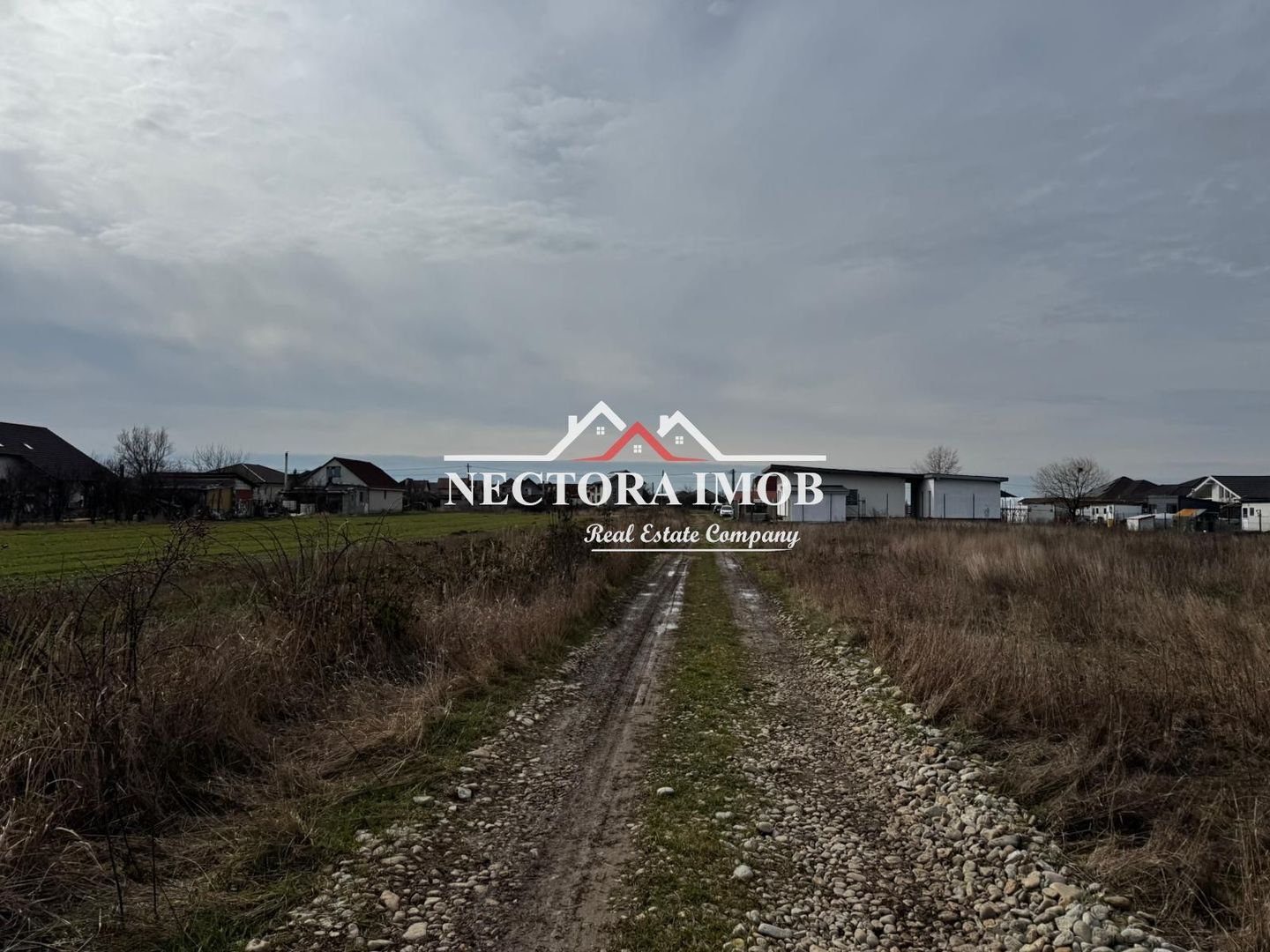 NECTORA IMOB-Teren Intravilan Zona Cihei,512 mp, Utilitati,Str.Privata - Poză 3