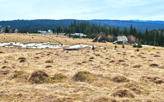 TEREN CU VEDERE LA LAC, 5959 MP Statiunea Turistica Montana BELIS-CLUJ - Poză 3