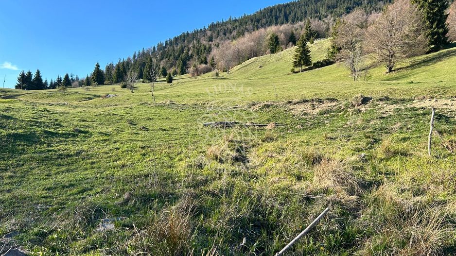Teren 5000 mp-panorama spre Lac Colibita - Poză 1