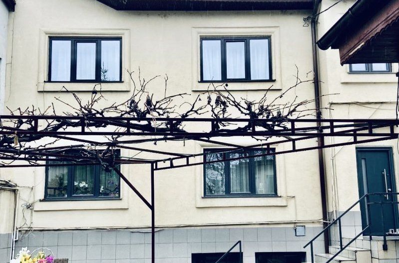 Vila / Spatiu Comercial Stradal 20m deschidere - Poză 1