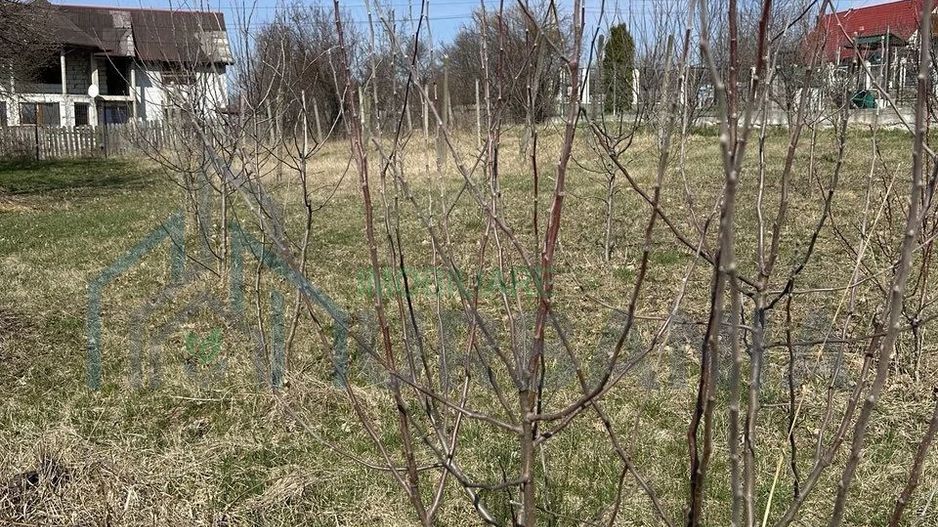 Teren intravilan de vânzare în centrul comunei Bârnova, Iași - Poză 5