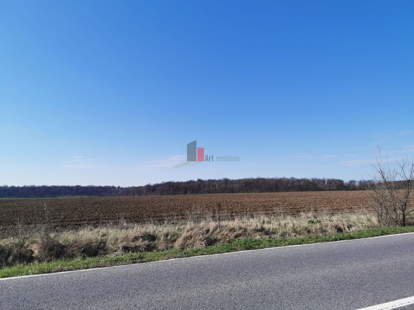 10 000 mp SNagov, langa Autostrada si Padure - Poză 1