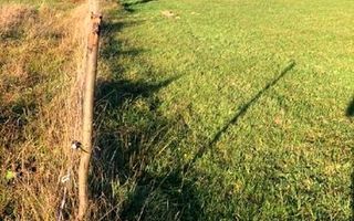 Teren intravilan in cartier Tocile comuna Sadu jud. Sibiu - Poză 8