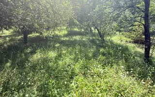 Casa interbelică cu arhitectură deosebită+Anexa și teren 1570 mp - Poză 34