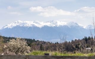 Teren intravilan în Poiana Mărului, 3.791 mp cu priveliste panoramica - Poză 2