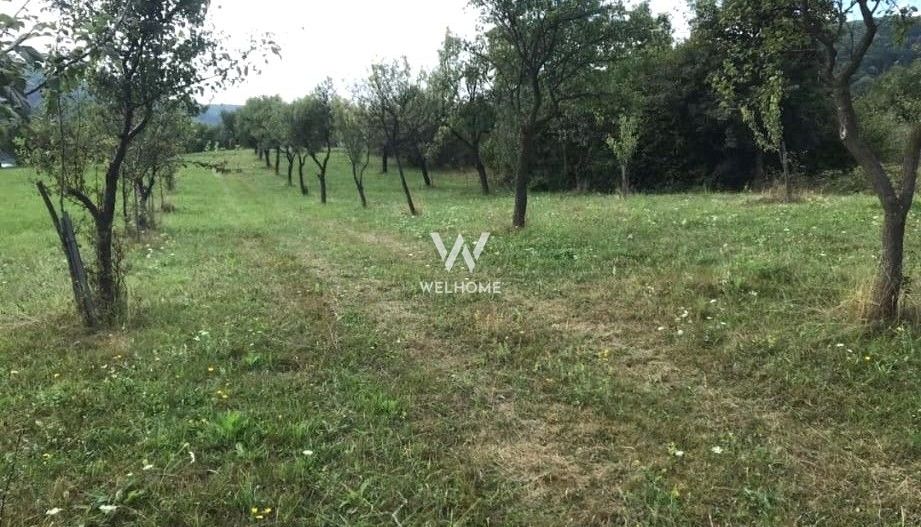 Teren extravilan - Sibiel, Sibiu - Poză 4