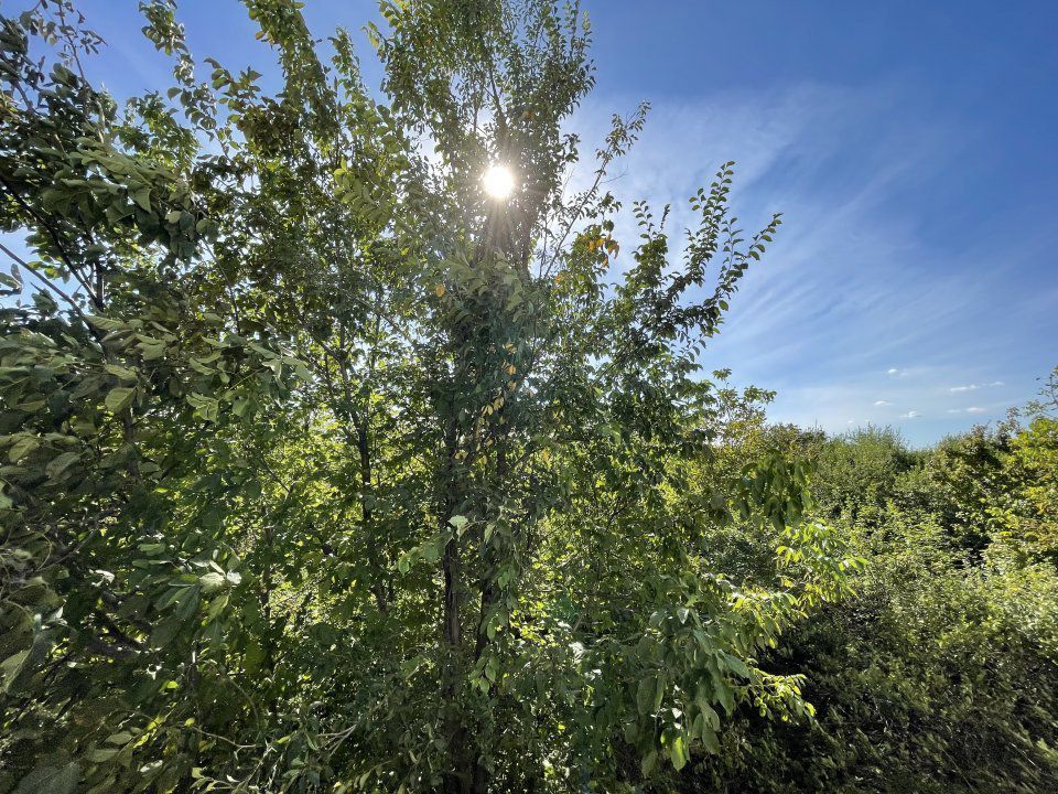 Apartament de lux 3 camere | COMPLEX SUNRISE - Poză 11