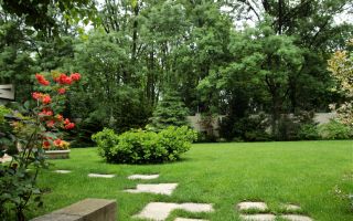 Vila impresionantă cu 15 camere, situată în zona Barbu Văcărescu - Poză 12