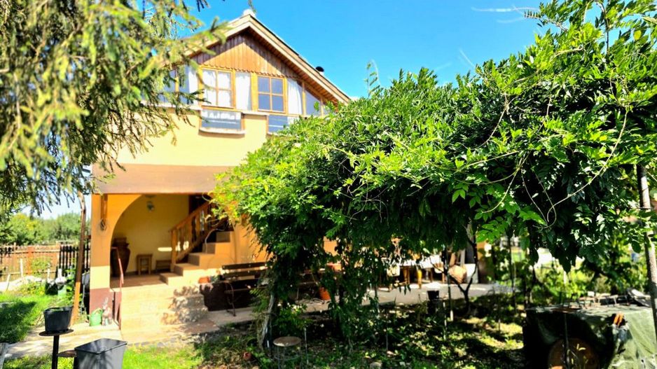 casa 3 camere Viile Satu Mare - Poză 1