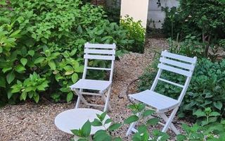 Casa cu gradina Icoanei - Poză 4