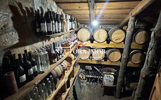 NECTORA IMOB Exclusivitate-Casa 5 camere, 2 bucatarii, 2300 mp teren - Poză 3