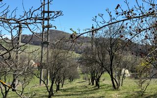 TEREN INTRAVILAN 2800MP CAMPULUNG ZONA PESCAREASA - Poză 6