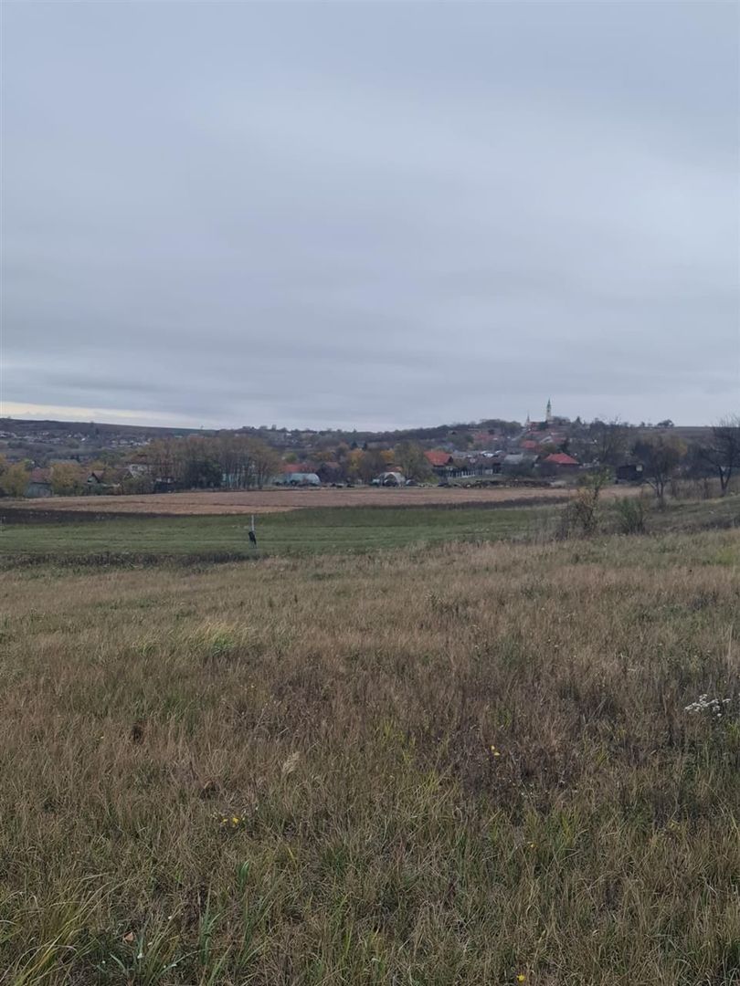 Teren Cetariu 9900 mp - Poză 3