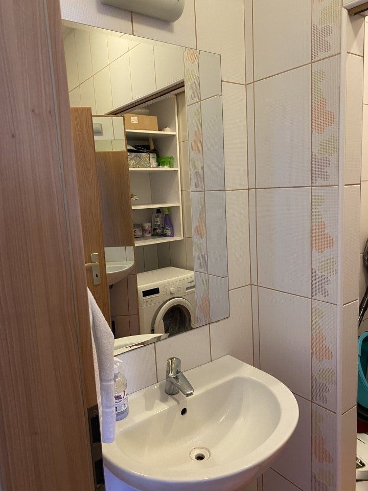 Apartament 3 camere Iancu Nicolae | Zoo - Poză 5