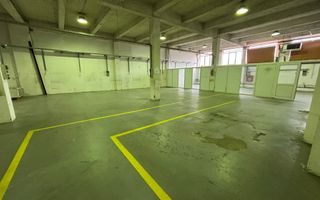 Hale de închiriat-zona străzii Corneliu Coposu - Poză 8