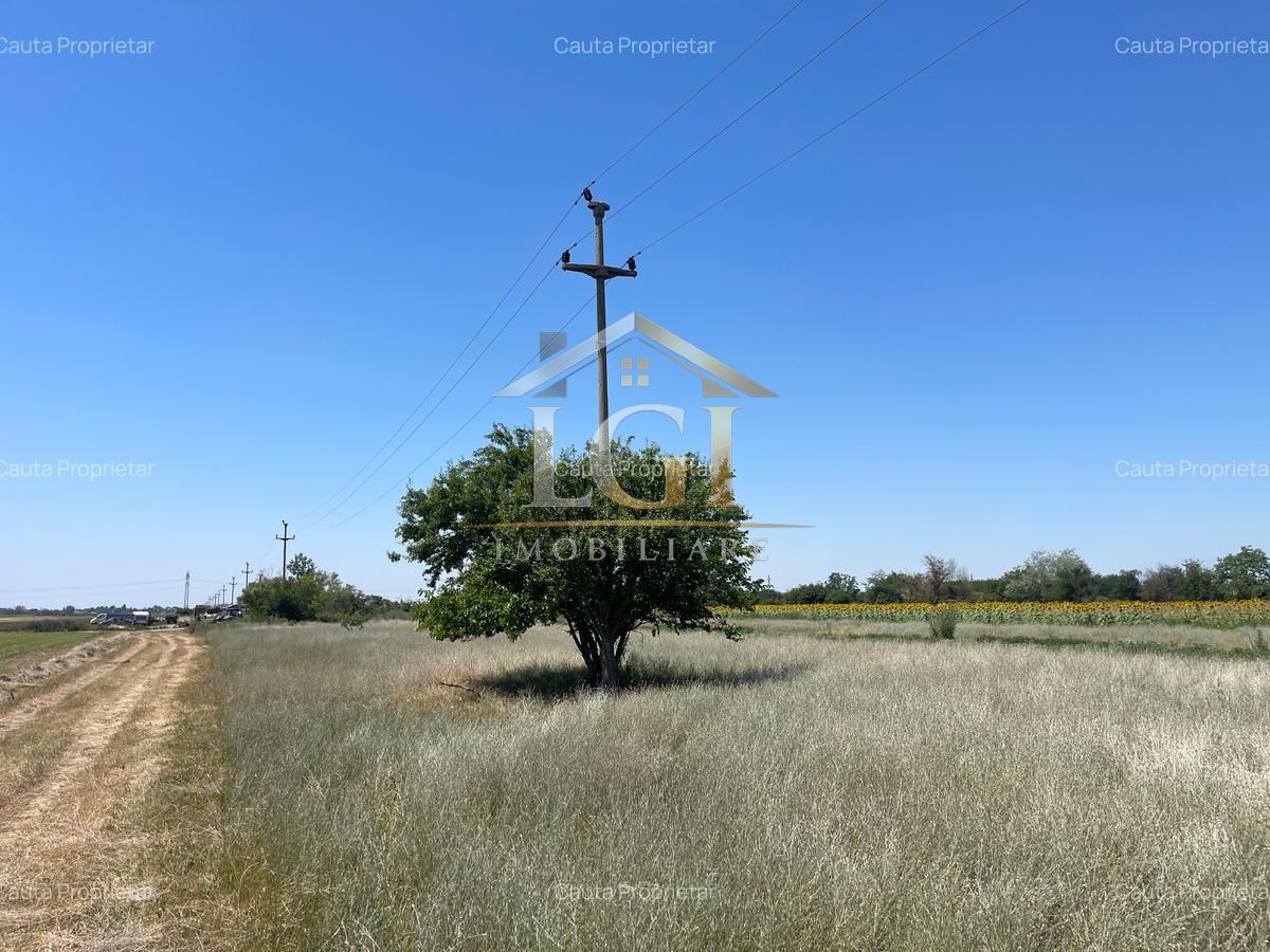 🌿 Teren de vânzare – Tărtășești ,12500 E - Poză 6