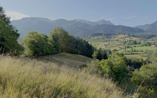 Teren Sohodol 10.398 mp  cu vedere panoramica - Poză 5