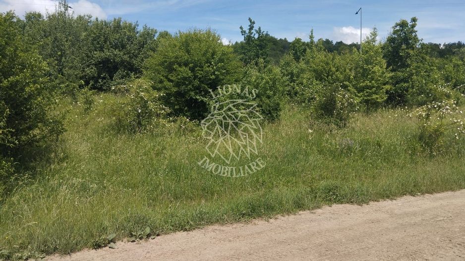 Teren 900 mp-ideal investitie-curent-Unirea - Poză 3