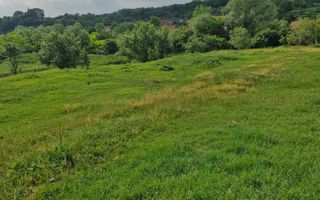 De vânzare Teren versatil 3.919 mp  in localitatea Armeni. Sibiu - Poză 3