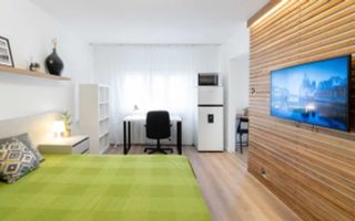 Garsoniera, Zorilor, UMF, UTCN, Observatorului, Spitalul de recuperare - Poză 2