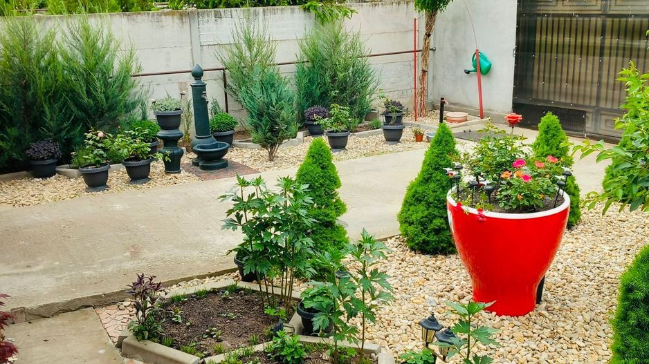 Parter cu structură pentru etaj, curte amenajată și organizare impeca - Poză 5