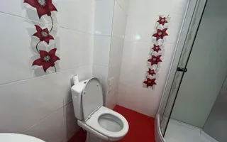Apartament modern 2 dormitoare+living Nicolina T.Neculai - Poză 21