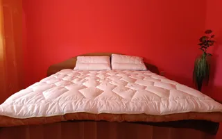 Vilă P+E de vânzare în Valea lui Mihai – 233 mp, teren 733 mp - Poză 19