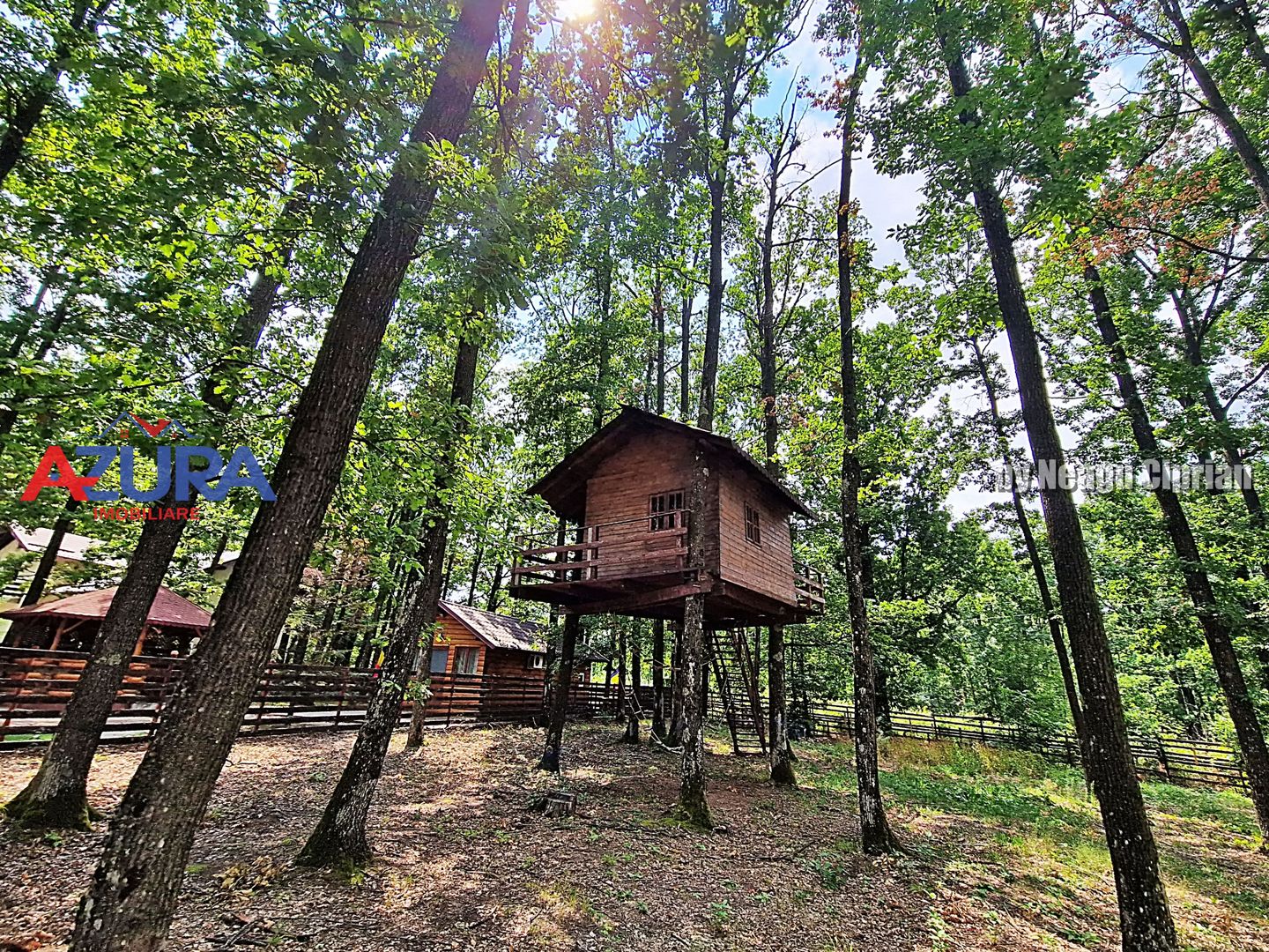 Casă de vacanță în pădure, 10 km de Pitești - Babana - Poză 16