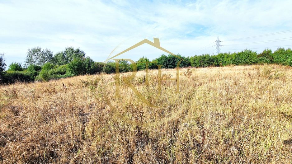 Teren de vânzare – 11.273 mp – zona Plopi, Timișoara Sud. - Poză 2