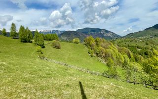 Teren in sat Pestera, comuna Moeciu. - Poză 6