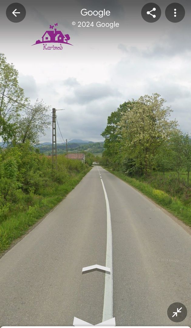 Teren de vanzare in Meziad. - Poză 5