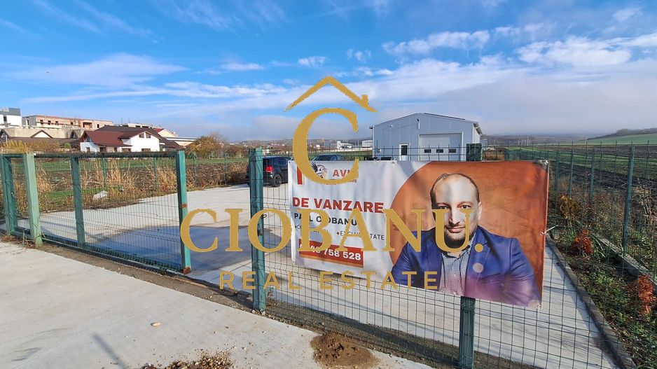 Hala de vanzare in Racarii de Jos - Poză 2