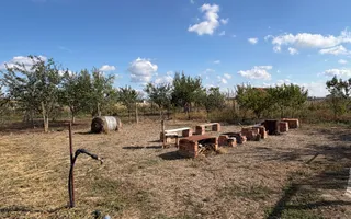Casă cu livadă, grădină și anexe, | Les | Oradea - Poză 13
