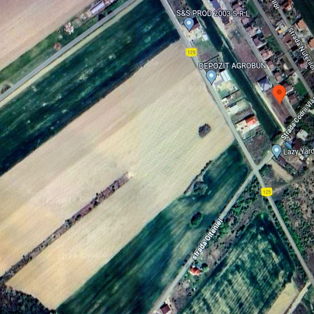 Teren de vanzare Domnesti-Teghes 16.400 mp Intravilan - Poză 3