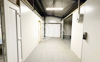 Hala de inchiriat in zona Sanmartin, Oradea - Poză 11