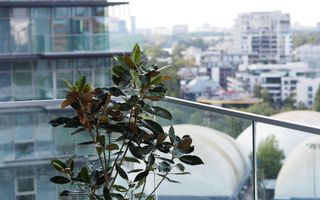 Apartament 3 camere cu vedere panoramică | UpSite, Floreasca - Poză 11
