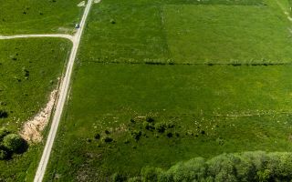 5.700 mp teren intravilan, in incantare montana, Rasnov, Glajerie, Brasov - Poză 5