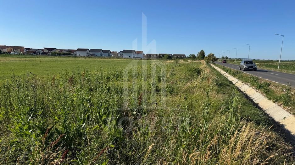 Teren 2500mp Sura Mica - Ocna Sibiului | 162.500 EUR - EXCLUSIVITATE - Poză 3