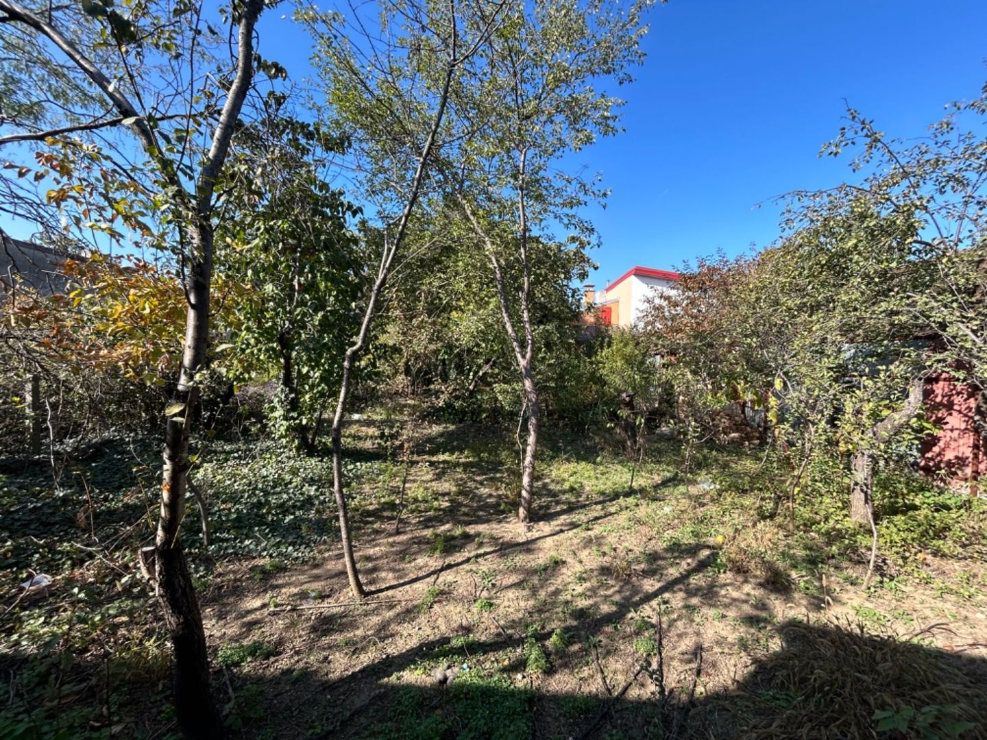 Teren 480 cu casa de 3 camere demolabila ( sau renovabila) sector 1 - Poză 3