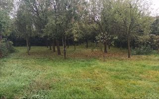 Casă de vânzare I 170 MPU I teren 1200 mp I zonă ultracentrală - Tălmaciu - Poză 10