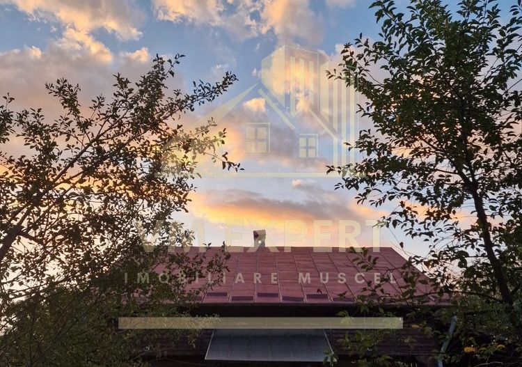 CASA MUSCELEANA 3 CAMERE TEREN 2000 MP BUGHEA DE SUS - Poză 1