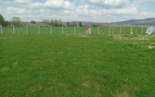 Grădină 862 mp cu cabanuta și pomi fructiferi – între Tălmaciu și Sadu - Poză 12